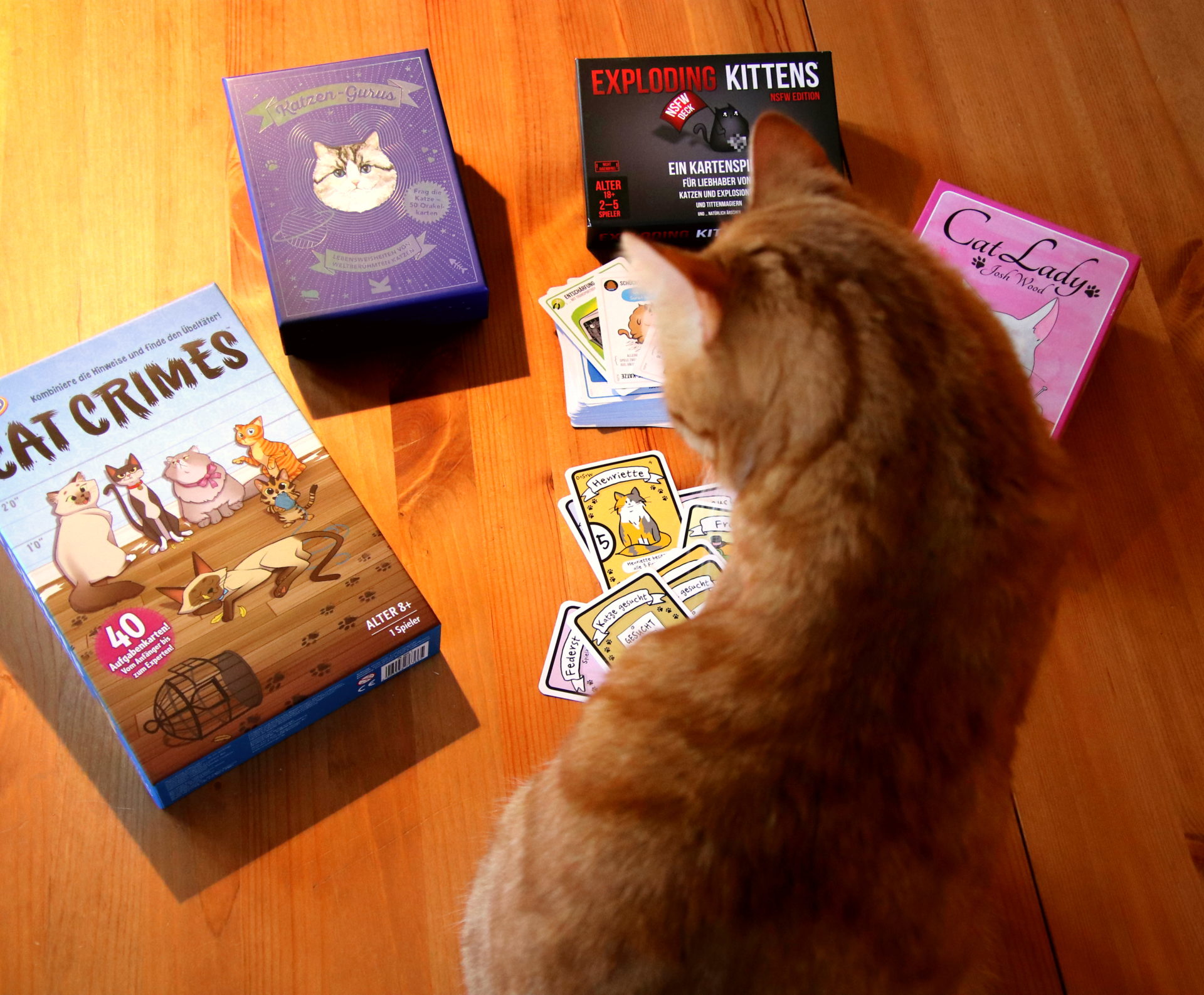 Eine kleine Auswahl empfohlener Gesellschaftsspiele für Katzenliebhaber.